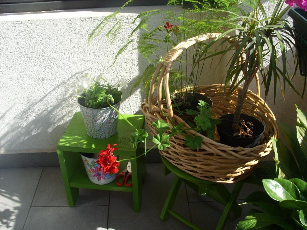 Apartments Dakovic Котор Екстериор снимка